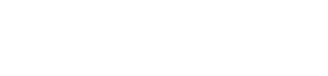 Boston Dynamics